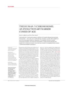REVIEWS  THE HUMAN Y CHROMOSOME: AN EVOLUTIONARY MARKER COMES OF AGE Mark A. Jobling* and Chris Tyler-Smith‡