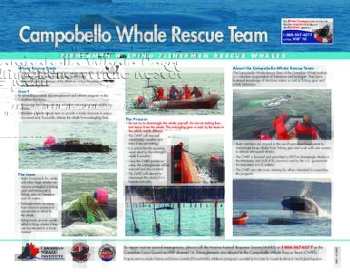 Campobello Whale Rescue Team FISHERMEN HELPING FISHERMEN RESCUE WHALES Whale Rescue Goals About the Campobello Whale Rescue Team
