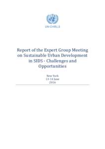 Report of the Expert Group Meeting on Sustainable Urban Development in SIDS - Challenges and Opportunities New YorkJune