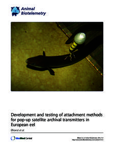 Development and testing of attachment methods for pop-up satellite archival transmitters in European eel Økland et al. Økland et al. Animal Biotelemetry 2013, 1:3 http://www.animalbiotelemetry.com/content/1/1/3