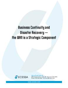 Business Continuity and Disaster Recovery — the WAN is a Strategic Component Worry-Proof Internet