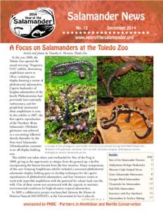 Salamander News No. 12 December 2014