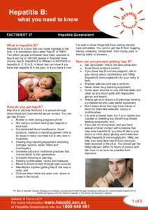 Hepatitis B: what you need to know FACTSHEET 37 Hepatitis Queensland