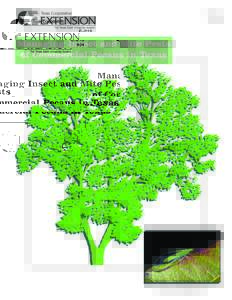 E–Managing Insect and Mite Pests of Commercial Pecans in Texas
