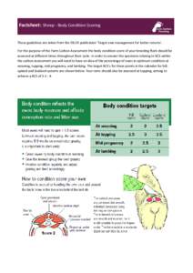 Factsheet: Sheep - Body Condition Scoring  These guidelines are taken from the EBLEX publication ‘Target ewe management for better returns’. For the purpose of the Farm Carbon Assessment the body condition score of y