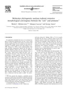 MOLECULAR PHYLOGENETICS AND EVOLUTION Molecular Phylogenetics and Evolution–3 www.elsevier.com/locate/ympev