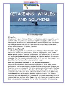 CETACEANS: WHALES AND DOLPHINS Objective  By Anna Plattner