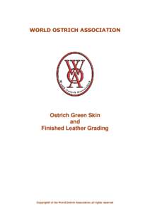 WORLD OSTRICH ASSOCIATION  Ostrich Green Skin and Finished Leather Grading
