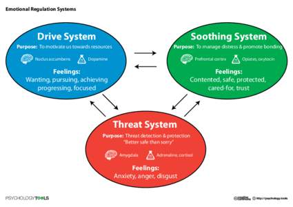 Emotional Regulation Systems  Drive System Soothing System