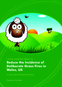 A SOCIAL MARKETING PROJECT TO  Reduce the Incidence of Deliberate Grass Fires in Wales, UK Summary report of Development Phase