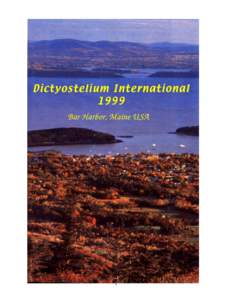 1  1999 INTERNATIONAL DICTYOSTELIUM CONFERENCE