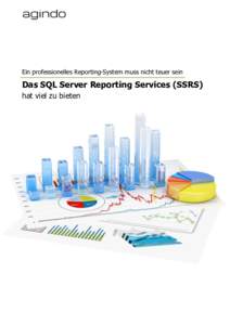 Ein professionelles Reporting-System muss nicht teuer sein  Das SQL Server Reporting Services (SSRS) hat viel zu bieten  Die Reporting-Services werden standardmäßig bei MS-SQL-Server als Installationsoption