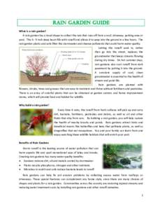 Rain Garden Guide What is a rain garden? A rain garden has a bowl shape to collect the rain that runs off from a roof, driveway, parking area or yard. Thisinch deep basin fills with runoff and allows it to seep in