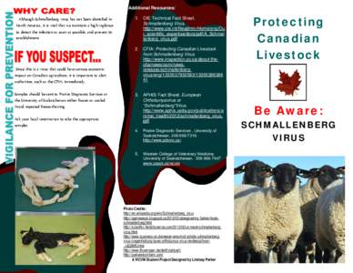 Additional Resources: Although Schmallenberg virus has not been identified in North America, it is vital that we maintain a high vigilance to detect the infection as soon as possible, and prevent its establishment.