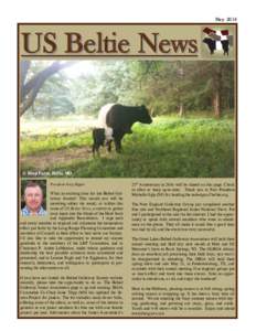 MayUS Beltie News (© Bmp Farm, Rolla, MO President Greg Hipple