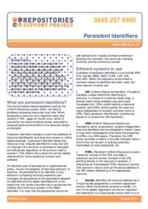 Microsoft Word - Layout_PersistentIdentifiers.doc