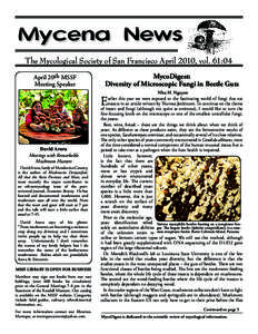 The Mycological Society of San Francisco April 2010, vol. 61:04 April 20th MSSF Meeting Speaker MycoDigest: Diversity of Microscopic Fungi in Beetle Guts