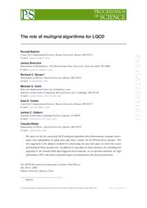 The role of multigrid algorithms for LQCD  Ronald Babich James Brannick Department of Mathematics, The Pennsylvania State University, University Park, PA 16802