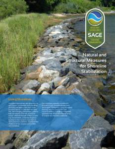 Natural and Structural Measures for Shoreline Stabilization  Living Shorelines