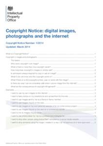 Copyright Notice: digital images, photographs and the internet