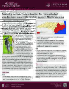 Assessing recovery opportunities for red-cockaded woodpeckers on private lands in eastern North Carolina The red-cockaded woodpecker (RCW) is a federally listed endangered species inhabiting the open pine forests of the 