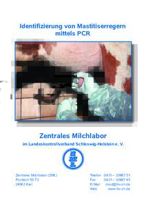 Identifizierung von Mastitiserregern mittels PCR Zentrales Milchlabor im Landeskontrollverband Schleswig-Holstein e. V.
