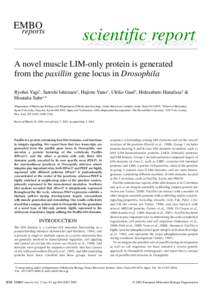 EMBO  reports A novel muscle LIM-only protein is generated from the paxillin gene locus in Drosophila