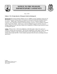 NOTICE TO THE WILDLIFE IMPORT/EXPORT COMMUNITY July 1, 2014 Subject: Five Foreign Species of Sturgeon Listed as Endangered Background: The National Marine Fisheries Service (NMFS) recently published a final rule (79