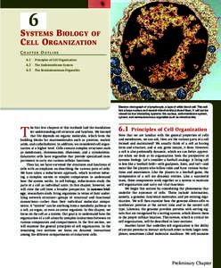 6 SYSTEMS BIOLOGY OF CELL ORGANIZATION CHAPTER OUTLINE[removed]