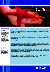 Starfish  DID YOU KNOW? Starfish have amazing powers of regeneration.