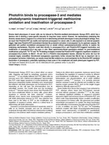 Photofrin binds to procaspase-3 and mediates photodynamic treatment-triggered methionine oxidation and inactivation of procaspase-3