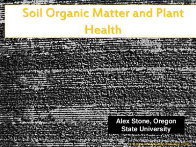 Soil Organic Matter and Plant Health