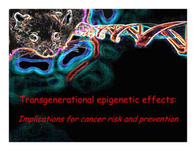 Transgenerational epigenetic effects: Implications for cancer risk and prevention AICR’s 2013 Annual Research Conference on Food, Nutrition, Physical Activity and Cancer November 7-8, 2913