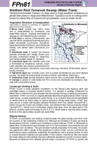 FPn81 Northern Rich Tamarack Swamp (Water Track) factsheet