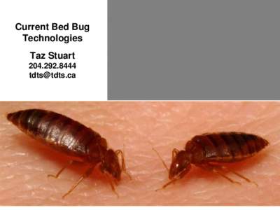 Current Bed Bug Technologies Taz Stuart[removed]removed]