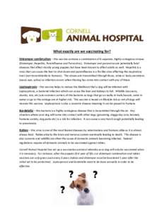 Veterinary medicine / Medicine / Microbiology / RTT / Vaccination / Zoonoses / Animal virology / Vaccine / Virology / Rabies / Leptospirosis / Parvovirus