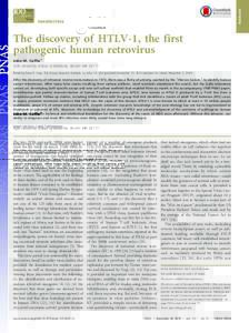PERSPECTIVE  PERSPECTIVE The discovery of HTLV-1, the first pathogenic human retrovirus