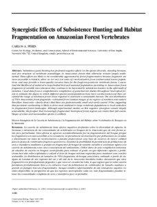 Synergistic Effects of Subsistence Hunting and Habitat Fragmentation on Amazonian Forest Vertebrates CARLOS A. PERES