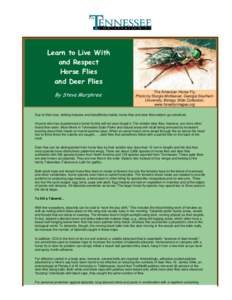 Learn to Live With and Respect Horse Flies and Deer Flies By Steve Murphree