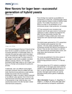 New flavors for lager beer—successful generation of hybrid yeasts