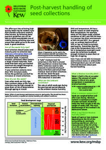 Post-harvest handling of seed collections Kate Gold, Royal Botanic Gardens, Kew Technical Information Sheet_04