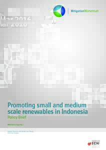 MarPromoting small and medium scale renewables in Indonesia Policy Brief NAMA Briefing Papers No. 3