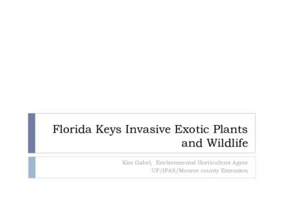 Florida Keys Invasive Exotic Plants and Wildlife Kim Gabel, Environmental Horticulture Agent UF/IFAS/Monroe county Extension  Invasive Exotic Plants