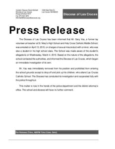 Press release (Professional design)