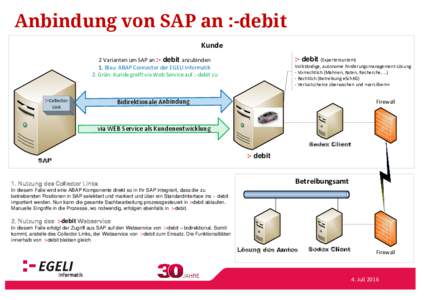 Anbindung von SAP an :-debit Kunde :- debit (Expertensystem) 2 Varianten um SAP an :- debit anzubinden 1. Blau: ABAP Connector der EGELI Informatik