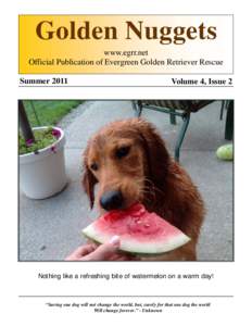 Golden Nuggets www.egrr.net Official Publication of Evergreen Golden Retriever Rescue SummerVolume 4, Issue 2