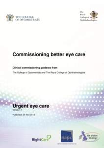 Joint College of Optometrists and Ophthalmologists Clinical Commissioning Guide for Glaucoma