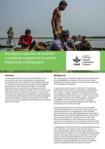 Increased production of small fish in wetlands combats micronutrient deficiencies in Bangladesh Summary