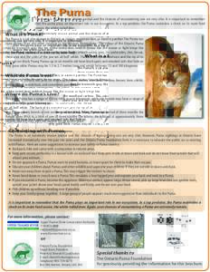 The Puma  The Puma is an extremely elusive animal and the chances of encountering one are very slim. It is important to remember that the puma plays an important role in our ecosystem. As a top predator, the Puma maintai
