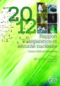 Rapport transparence et sécurité nucléaire Centre CEA de Cadarache Tome 2 INB 32 (ATPu) et 54 (LPC)